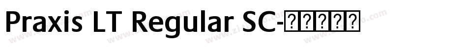 Praxis LT Regular SC字体转换